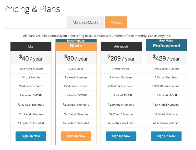 Pricing and plans table with four annual phone options. Lite costs $40 per year. Basic is marked most popular at $80 per year. Advanced costs $209 per year. Professional is marked best value at $429 per year.